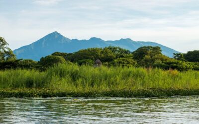 Lifting Sin Cirugía Valencia: La Solución Moderna Para Rejuvenecer Tu Rostro